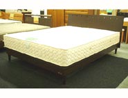 NLS-606