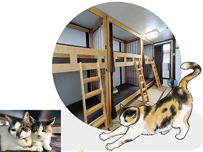 新潟県の湯沢町にある猫好きにはたまらないゲストハウス
画像2