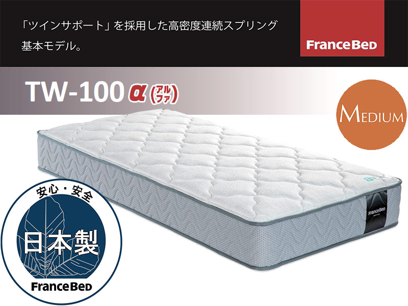 TW-100 フランスベッド ツインサポートマットレス セミシングルサイズ